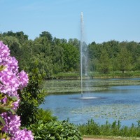 Bild vergrößern: Kurparksee mit Fontne und Rhododendron